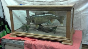 2012-02-08_21-12-52_62